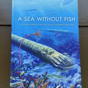 A Sea Without Fish