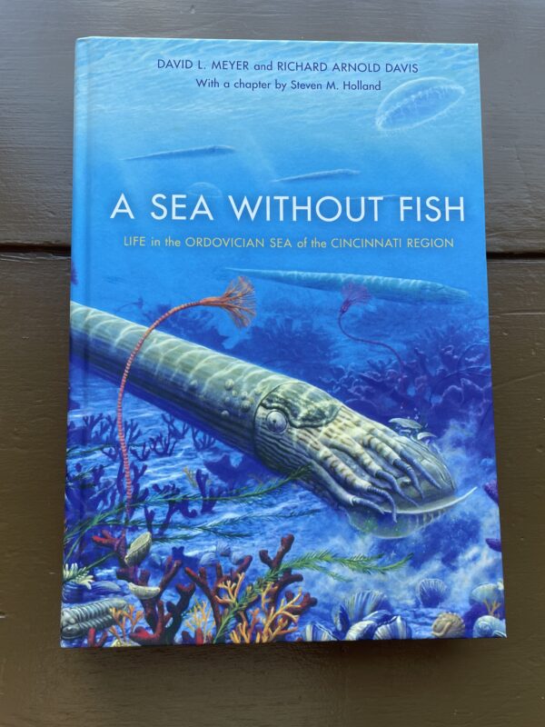 A Sea Without Fish