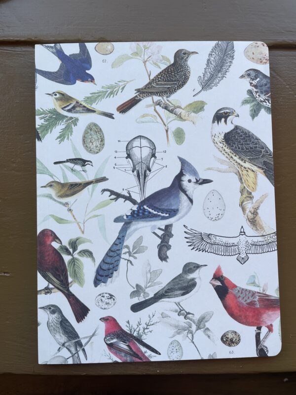 Softcover Notebook - Dot Grid: Birds