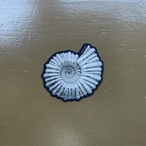 Ammonite Fossil Sticker