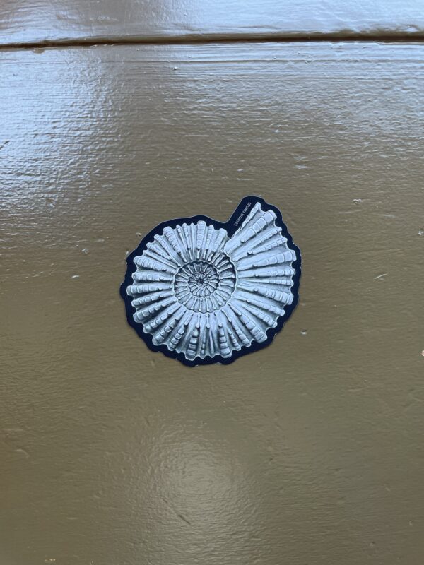 Ammonite Fossil Sticker