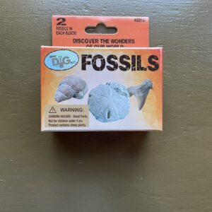 Mini Excavation Kit: Fossils