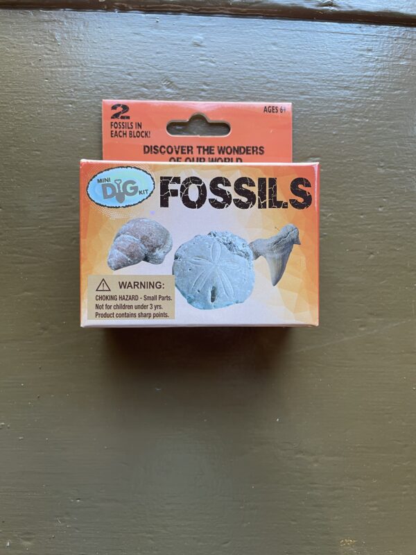 Mini Excavation Kit: Fossils