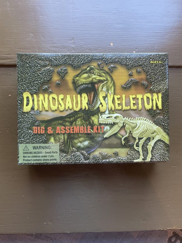Excavation Kit: Dinosaur Skeleton Assembly