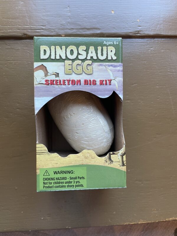 Excavation Kit: Dinosaur Egg