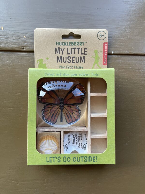 My Little Museum Bug Box Huckleberry