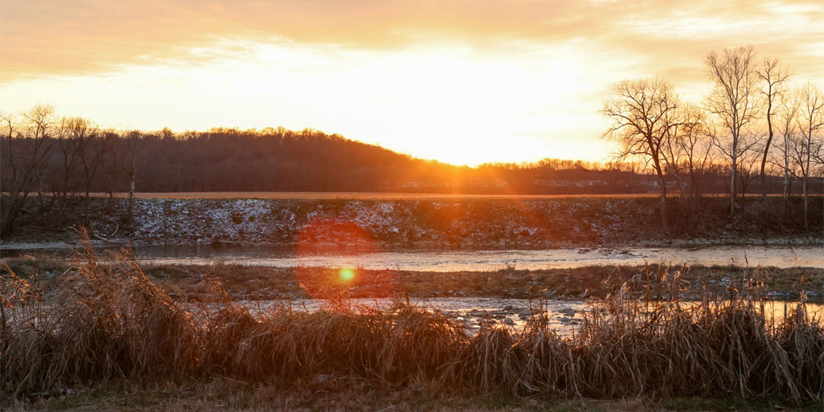 Sunset over the Great Miami River Valley with bare trees and tall grasses in the foreground