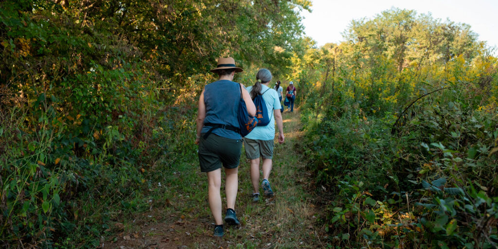 Participants explore a wooded trail as part of an archaeology-inspired activity featured in ARI's library programs
